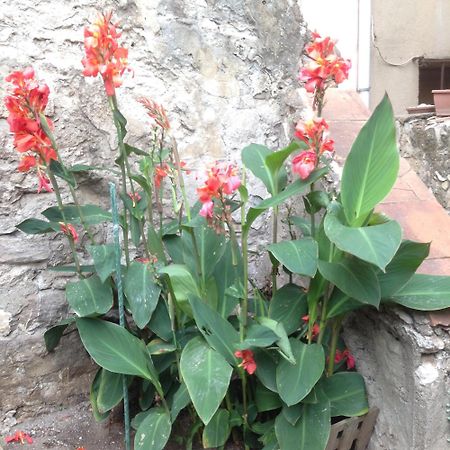 La Terrasse Du Mole Apartman Sète Kültér fotó